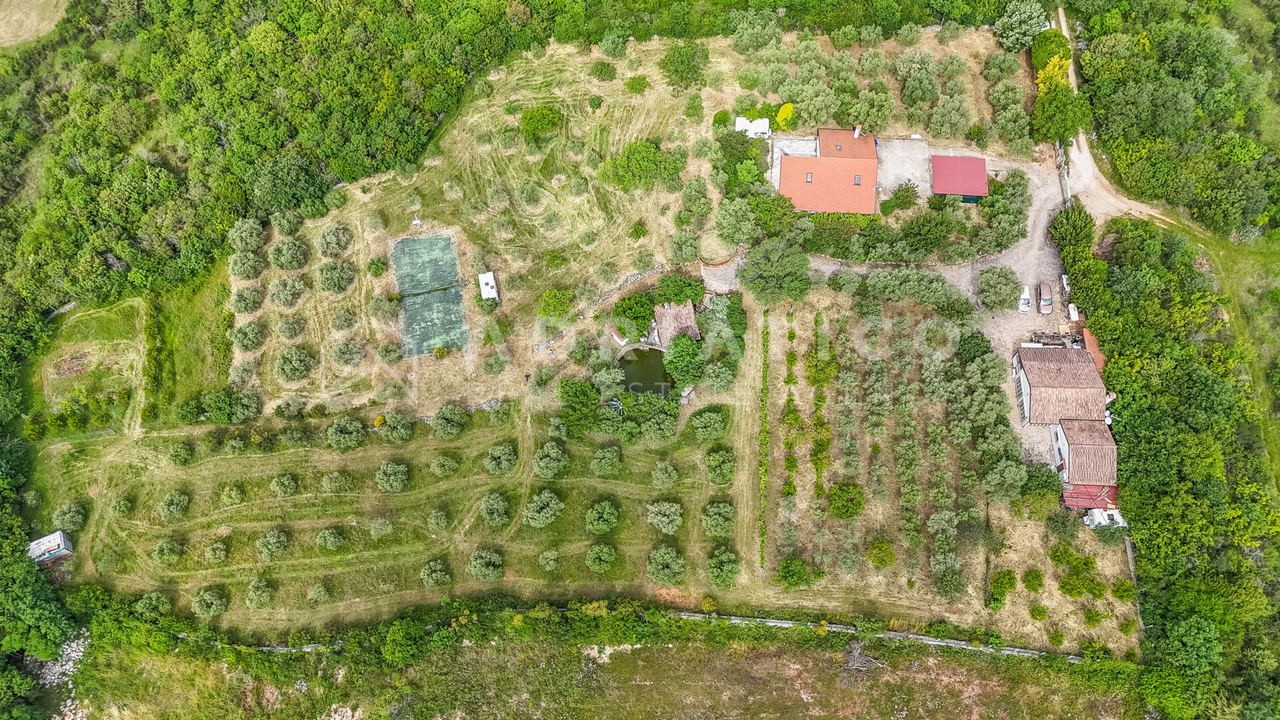 Okolica Rovinja – posest 11.000 m² z dvema hišama in oljčnikom — slika 1