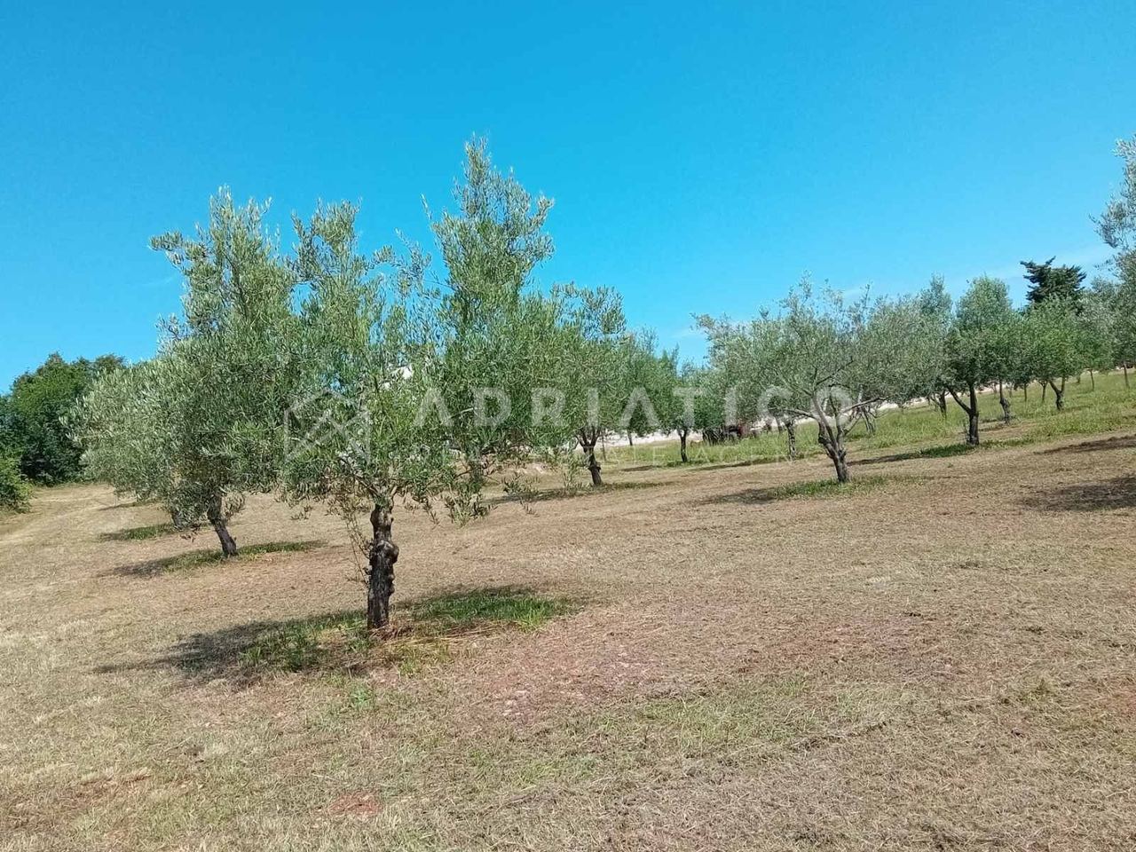 Zemljište u Rovinju, 5046m²