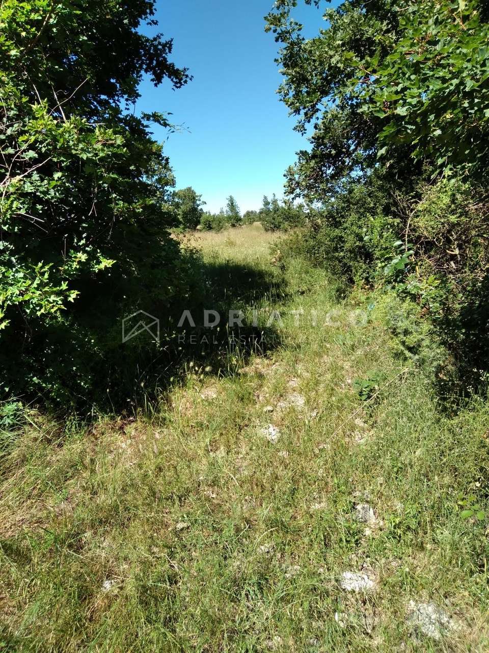 Zemljište u Svetvinčenatu, 12607m²
