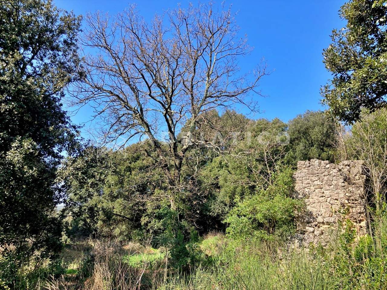 Zemljište u Rovinju, 11040m²