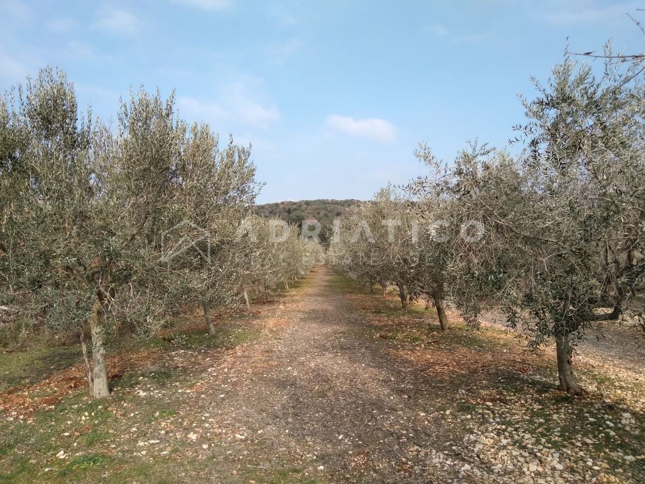 Zemljište u Rovinju, 6636m²